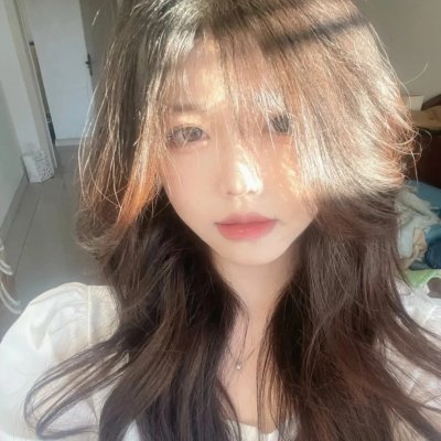 精灵宝可梦：结晶塔的帝王